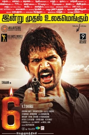 6 Candles (2013) Hindi Dubbed 350MB HD Poster Download - Filmyzilla