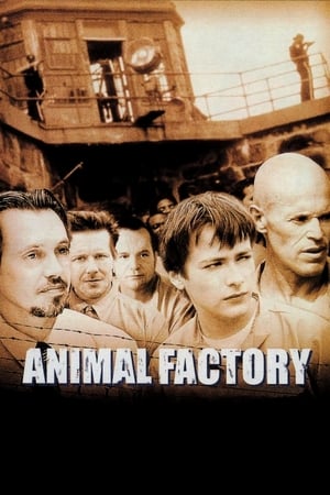 Animal Factory (2000) Hindi Dual Audio [950MB] HD Poster Download - Filmyzilla