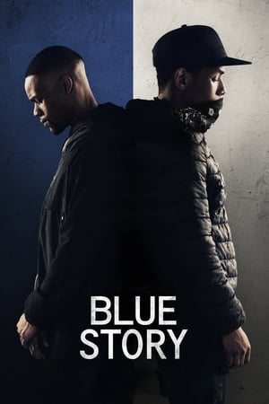 Blue Story (2019) Hindi Dual Audio – HD Poster Download - Filmyzilla