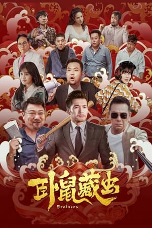Brothers (2022) Hindi Dual Audio – 720p – 480p