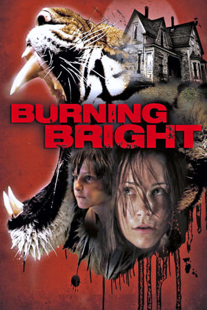 Burning Bright (2010) Hindi Dual Audio 300MB HD Poster Download - Filmyzilla