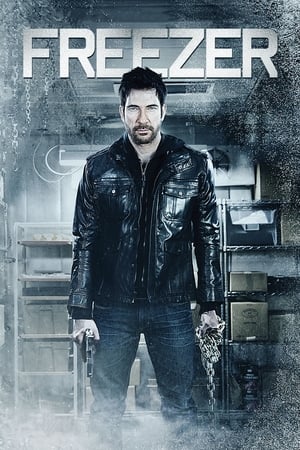 Freezer (2014) Hindi Dual Audio [800MB] HD Poster Download - Filmyzilla