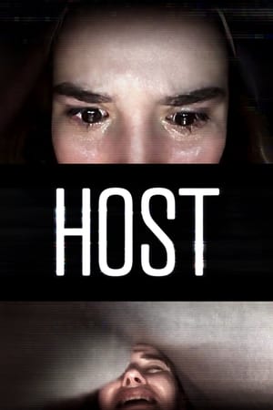 Host 2020 Hindi Dual Audio 220MB HD Poster Download - Filmyzilla