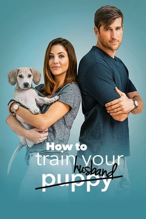 How to Train Your Husband 2018 Hindi Dual Audio [1GB] HD Poster Download - Filmyzilla