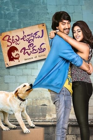 Kittu Unnadu Jagratha 2017 Hindi Dual Audio 400MB HD Poster Download - Filmyzilla