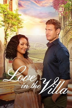 Love in the Villa (2022) Hindi Dual Audio – HD Poster Download - Filmyzilla