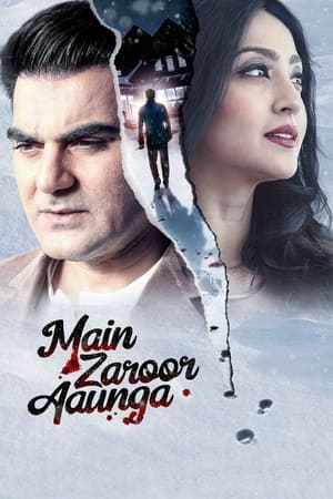 Main Zaroor Aaunga 2019 Hindi Movie [670MB] HD Poster Download - Filmyzilla