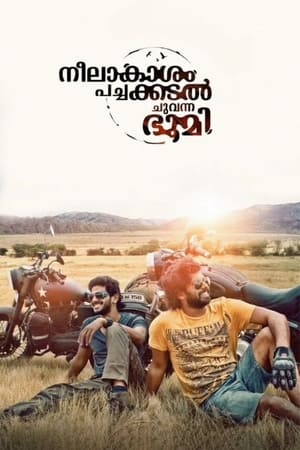 Neelakasham Pachakadal Chuvanna Bhoomi (2013) Hindi Dubbed 450MB HD Poster Download - Filmyzilla
