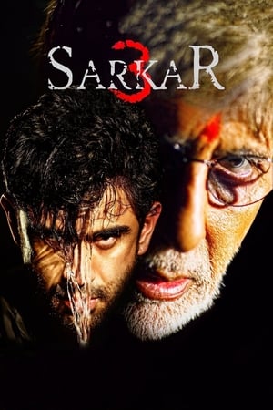 Sarkar 3 (2017) Full Movie pDVDRip [700MB] Download HD Poster Download - Filmyzilla