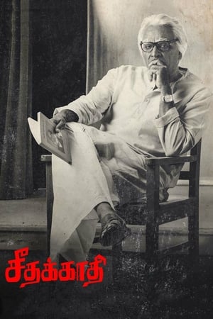 Seethakaathi (2018) Hindi Dubbed 400MB HD Poster Download - Filmyzilla