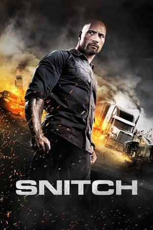 Snitch (2013) Hindi Dual Audio [930MB] HD Poster Download - Filmyzilla
