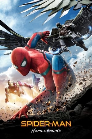 Spider-Man Homecoming 2017 400MB Dual Audio Hindi Download HD Poster Download - Filmyzilla