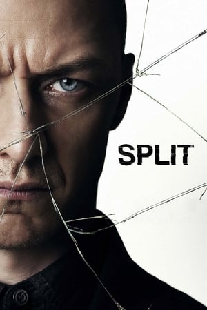 Split (2016) Hindi Dual Audio 400MB HD Poster Download - Filmyzilla