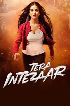 Tera Intezaar 2017 Movie - [300MB] HD Poster Download - Filmyzilla