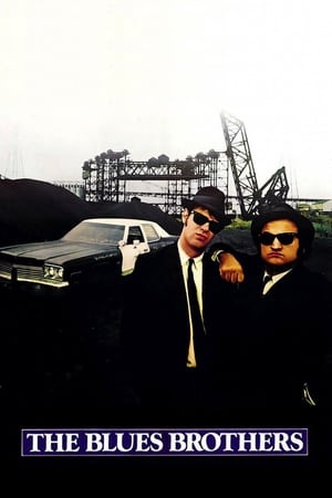 The Blues Brothers (1980) Hindi Dual Audio [1.3GB] ESubs HD Poster Download - Filmyzilla