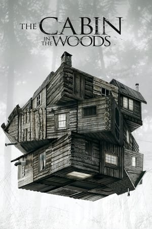 The Cabin in the Woods 2012 Dual Audio Hindi [800MB] ESubs HD Poster Download - Filmyzilla