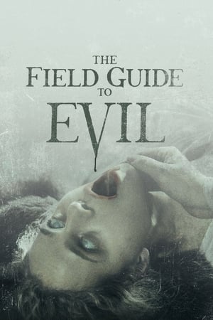 The Field Guide to Evil 2018 Hindi Dual Audio 350MB HD Poster Download - Filmyzilla