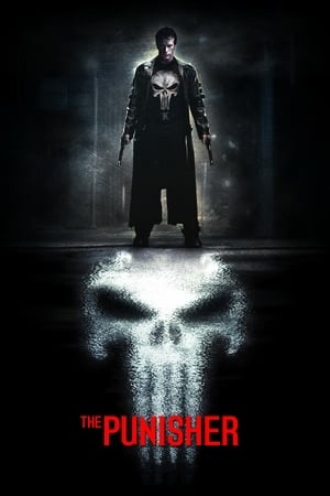 The Punisher 2004 Hindi Dual Audio 380MB HD Poster Download - Filmyzilla