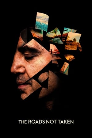 The Roads Not Taken (2020) Hindi Dual Audio – HD Poster Download - Filmyzilla