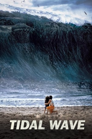 Tidal Wave (2009) Hindi Dual Audio 350MB ESubs HD Poster Download - Filmyzilla