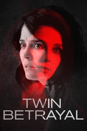 Twin Betrayal (2018) Hindi Dual Audio 390MB HD Poster Download - Filmyzilla